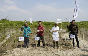 Peringati Hari Lingkungan Hidup Sedunia, PHE ONWJ dan Pemkab Karawang Tanam Mangrove