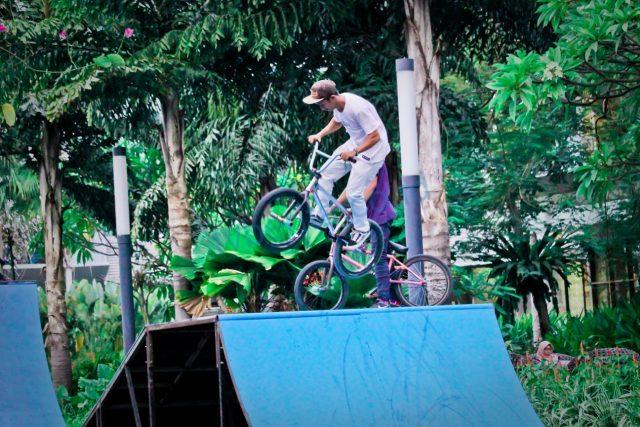 bmx