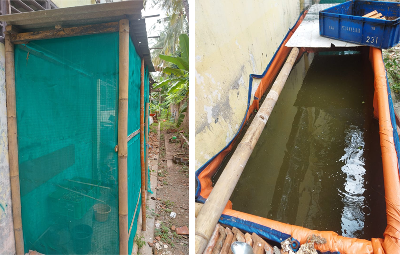 tampak penangkaran magot (kiri) dan kolam lele (kanan).