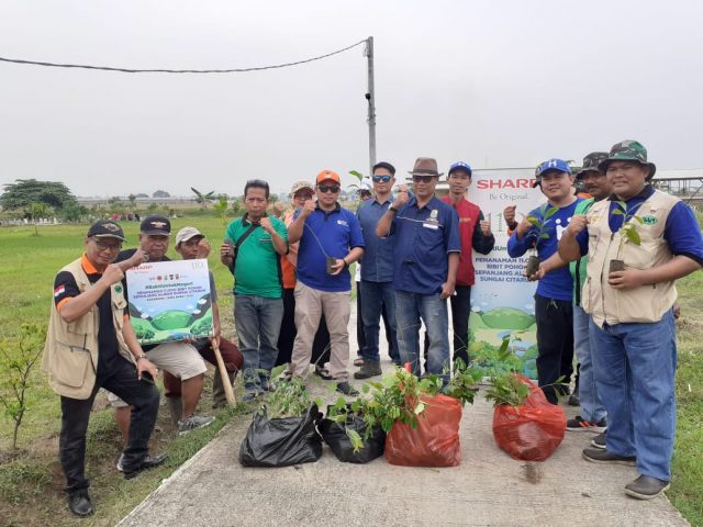 Penanaman pohon cengkong