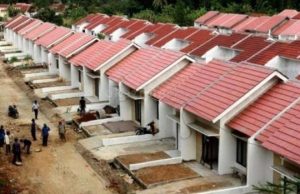 Developer fasos fasum