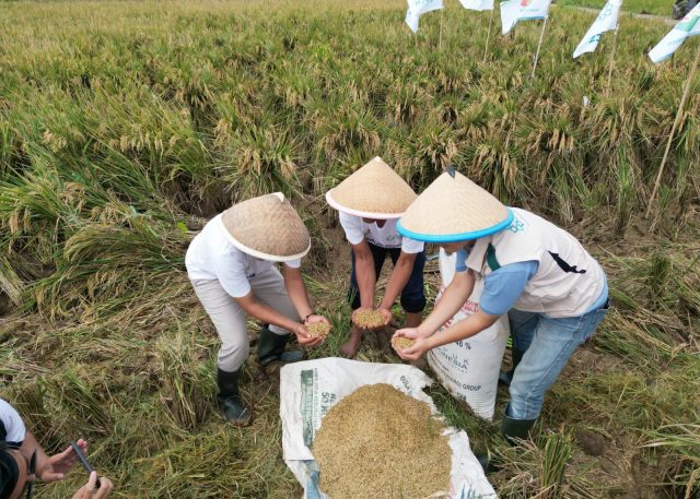 Kedaulatan pangan di karawang