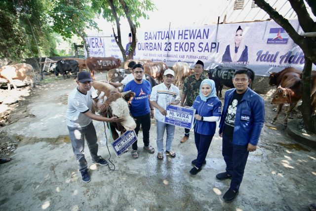 Vera febyanthy kurban