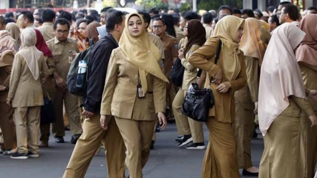 PNS part time menpan rb