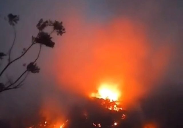 Hutan di tegalwaru karawang terbakar