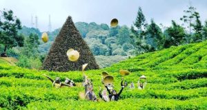 Daftar 8 wisata keluarga di subang