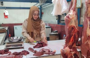 Pedagang sapi di karawang turun omzet