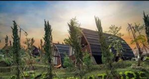 Miracle Signature Hills