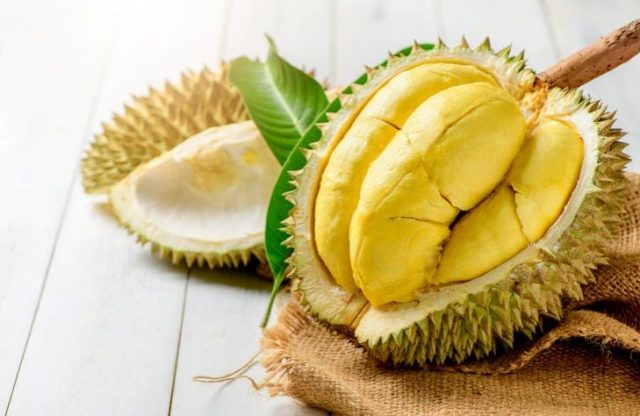 alasan-mengapa-buah-durian-diseb-20230120035049 Mengupas Durian