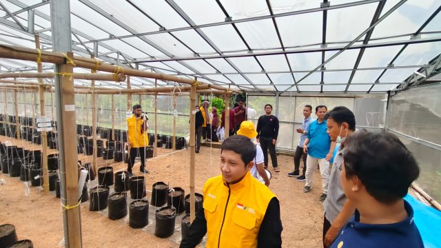 Petani milenial di karawang