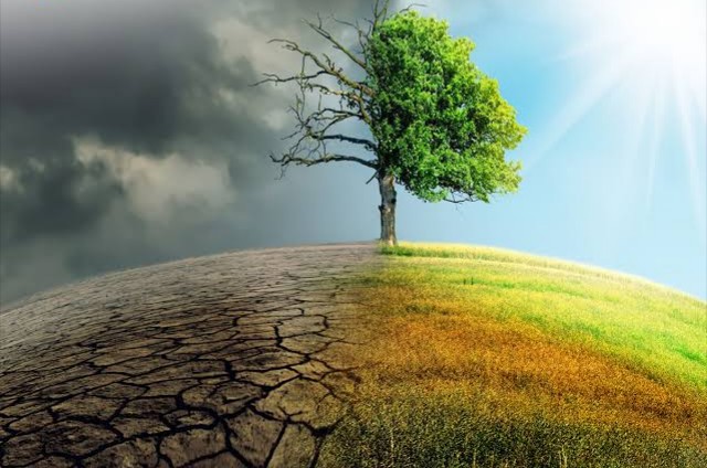 _20240504_162858 Musim pancaroba di karawang