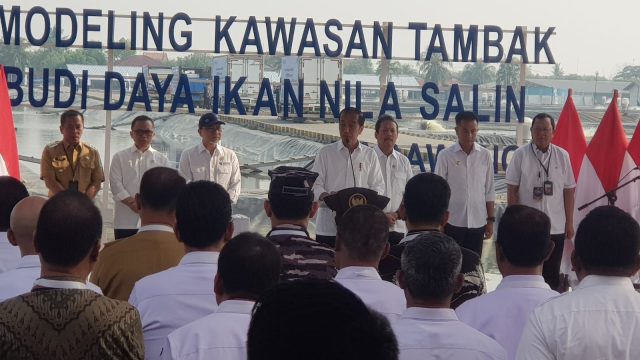 IMG-20240508-WA0007 Jokowi ikan nila karawang