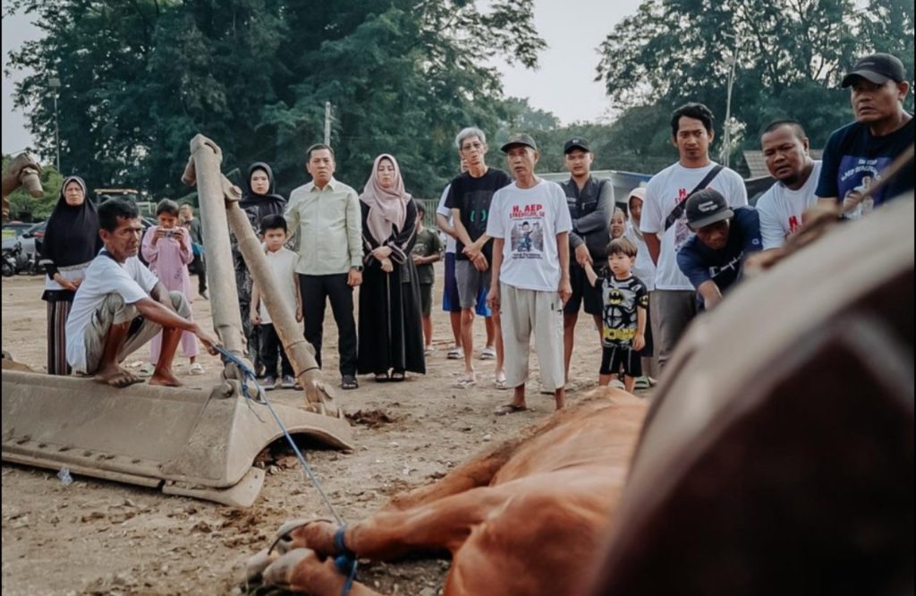 Bupati aep hewan kurban