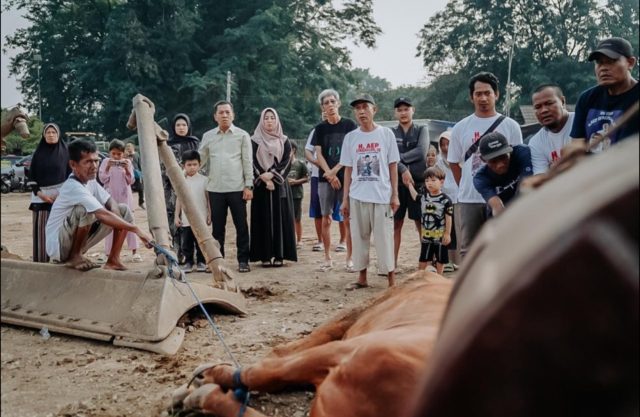 Bupati aep hewan kurban