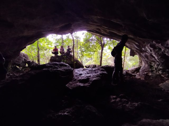 Kambing di karawang diterkam macan tutul jawa