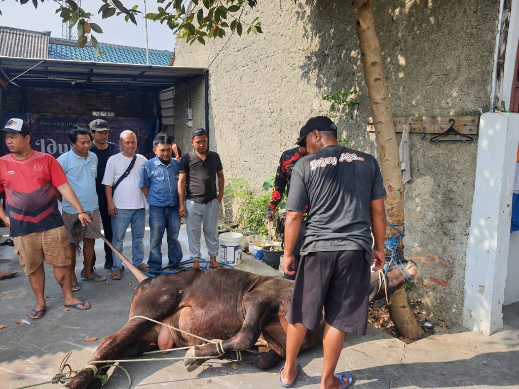 Pwi smsi karawang sembelih kurban