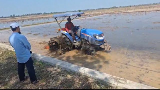 _20241022_153612 Sawah kekeringan di banyusari karawang
