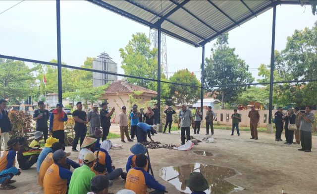 _20241031_191257 Tikus di desa kutamakmur karawang
