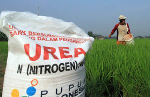 Pupuk bersubsidi karawang di 2025