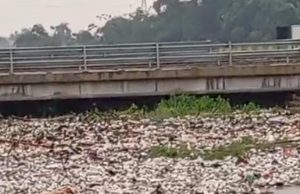 Aliran irigasi karanggelam