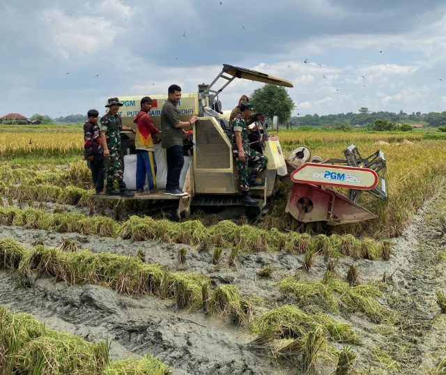 Target Serapan bulog karawang