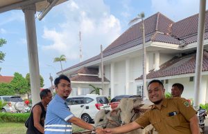 Rayakan Idul Adha, Pindo Deli Bagikan Hewan Kurban untuk Warga dan Pemkab Karawang Hewan kurban pindo deli karawang