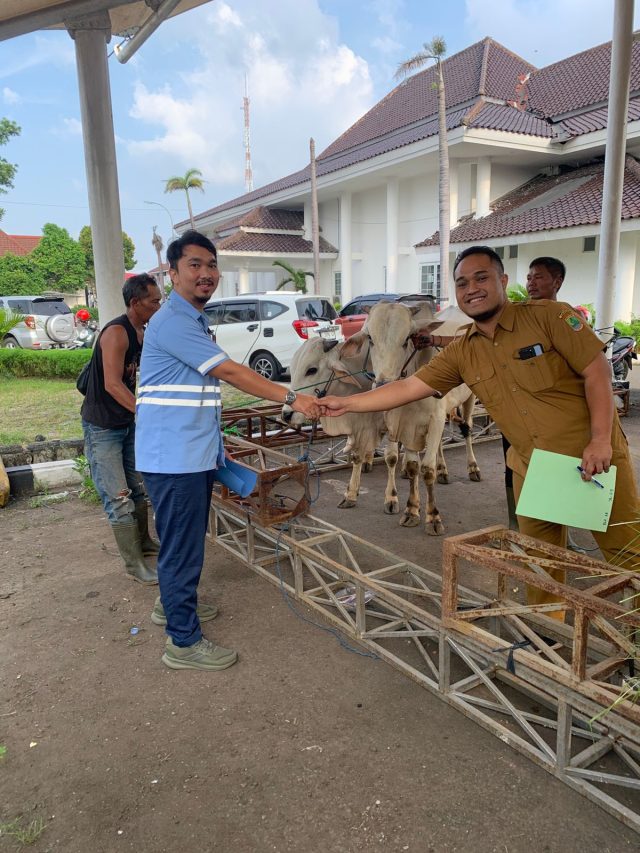 Hewan kurban pindo deli karawang