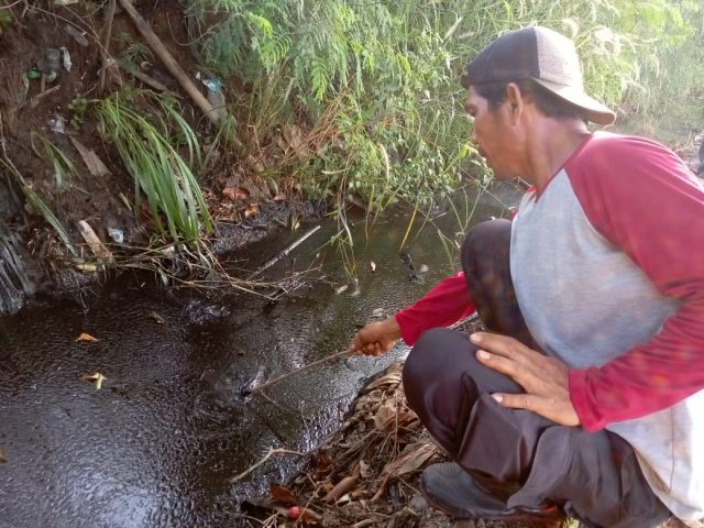 Hutan kota karawang tercemar limbah