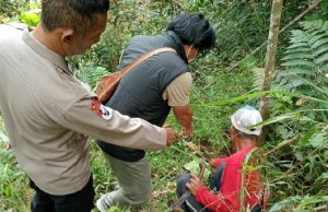 Bayi perempuan ciamis