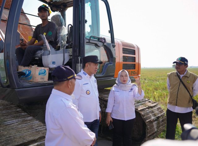 Bangli di batujaya karawang