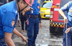 Ular kobra dievakuasi damkar karawang