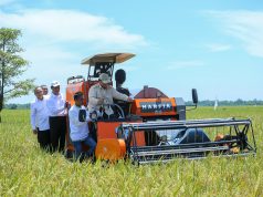 Lahan pertanian Majalengka