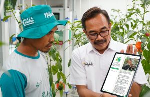 Aplikasi pertanian pupuk kujang cikampek