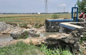 Lahan sawah kekeringan di karawang
