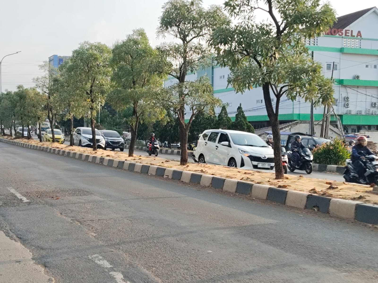 Proyek penataan taman karawang