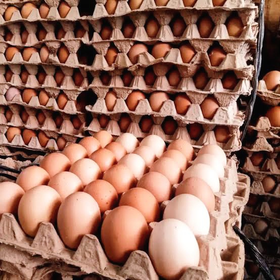 IMG_20250902_085828 BUMDes Sindangsari