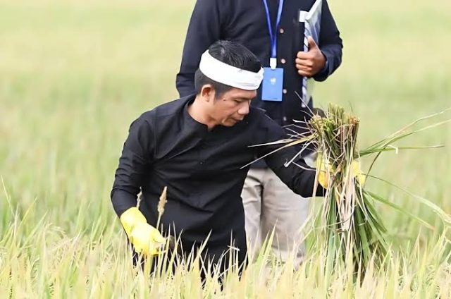 Program MBG purwakarta