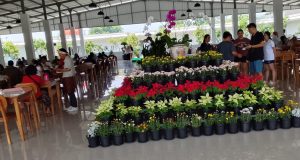 Nasi tempong di karawang