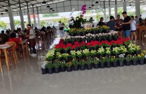 Nasi tempong di karawang