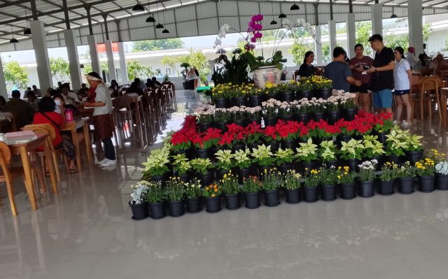 Nasi tempong di karawang