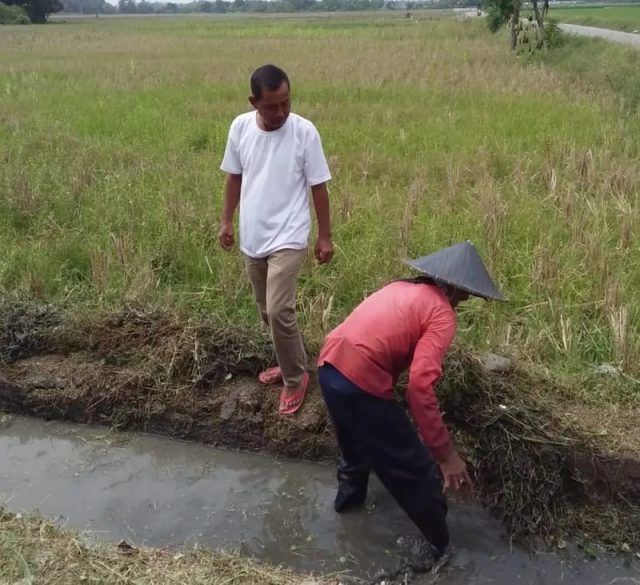 IMG-20251029-WA0047 Saluran irigasi karawang macet