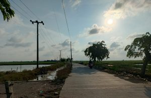 Warga Cibuaya-Cemarajaya Ngeluh Jalan Gelap Tanpa PJU: Ngadu ke Pemda-DPRD Tak Ada Hasil Jalan pju di cibuaya