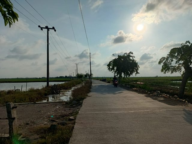 IMG-20251110-WA0013 Jalan pju di cibuaya