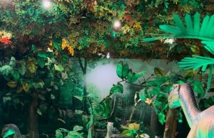 Wonderland dan karawang night festival