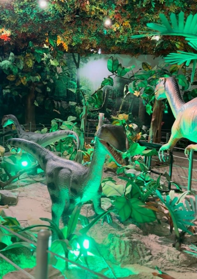 IMG-20251128-WA0024 Wonderland dan karawang night festival