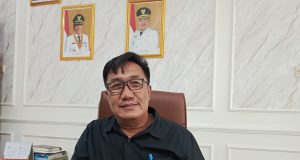 Dana desa 2026 di karawang