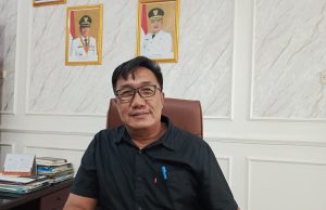 Dana desa 2026 di karawang