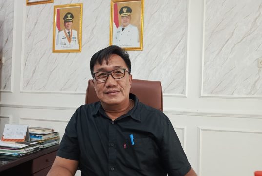 Dana desa 2026 di karawang