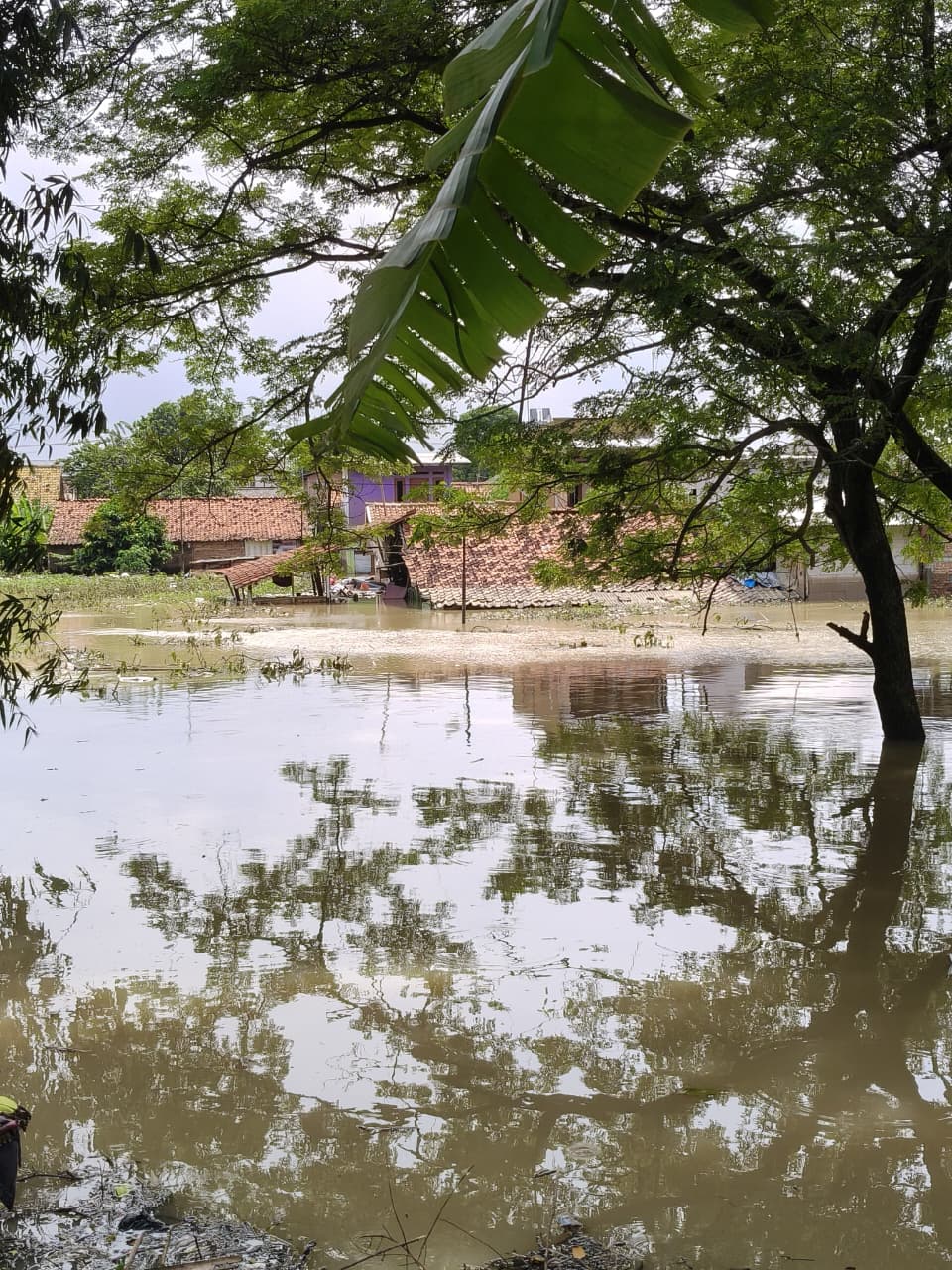 Curhat warga karawang banjir