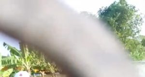 Warga disabilitas karawang banjir